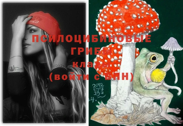 амф Алексеевка