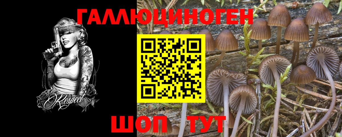 Псилоцибиновые грибы GOLDEN TEACHER Дзержинский