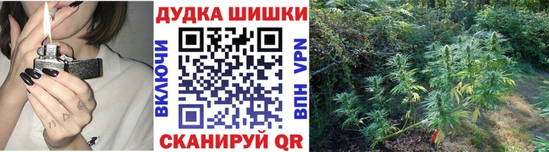 Бошки марихуана план  продажа наркотиков  Дзержинский 